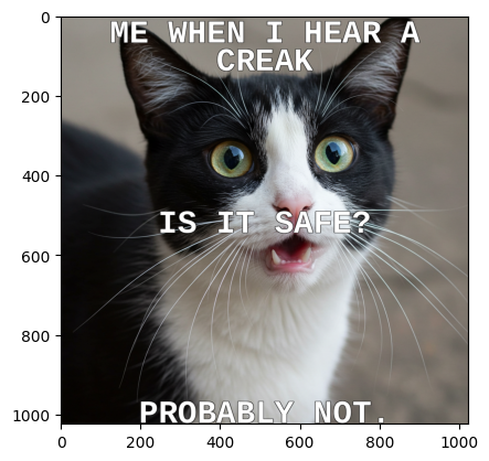 Final Output from the Meme Generator